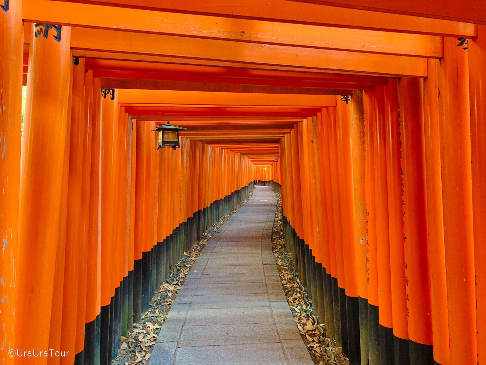 [FUSHIMI-INARI-TAISHA -The first story “Introduction to INARI”-] Know it! The truth and wonder of INARI : No.1 Popular Sightseeing Place in Kyoto –
